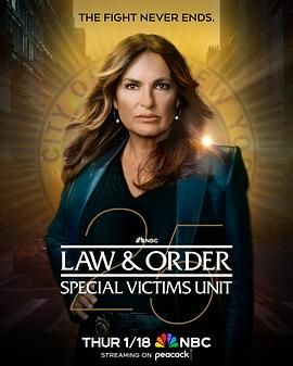 法律与秩序：特殊受害者 第二十五季 第4集