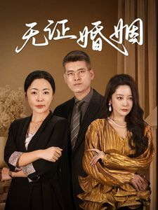 无证婚姻 第1-20集