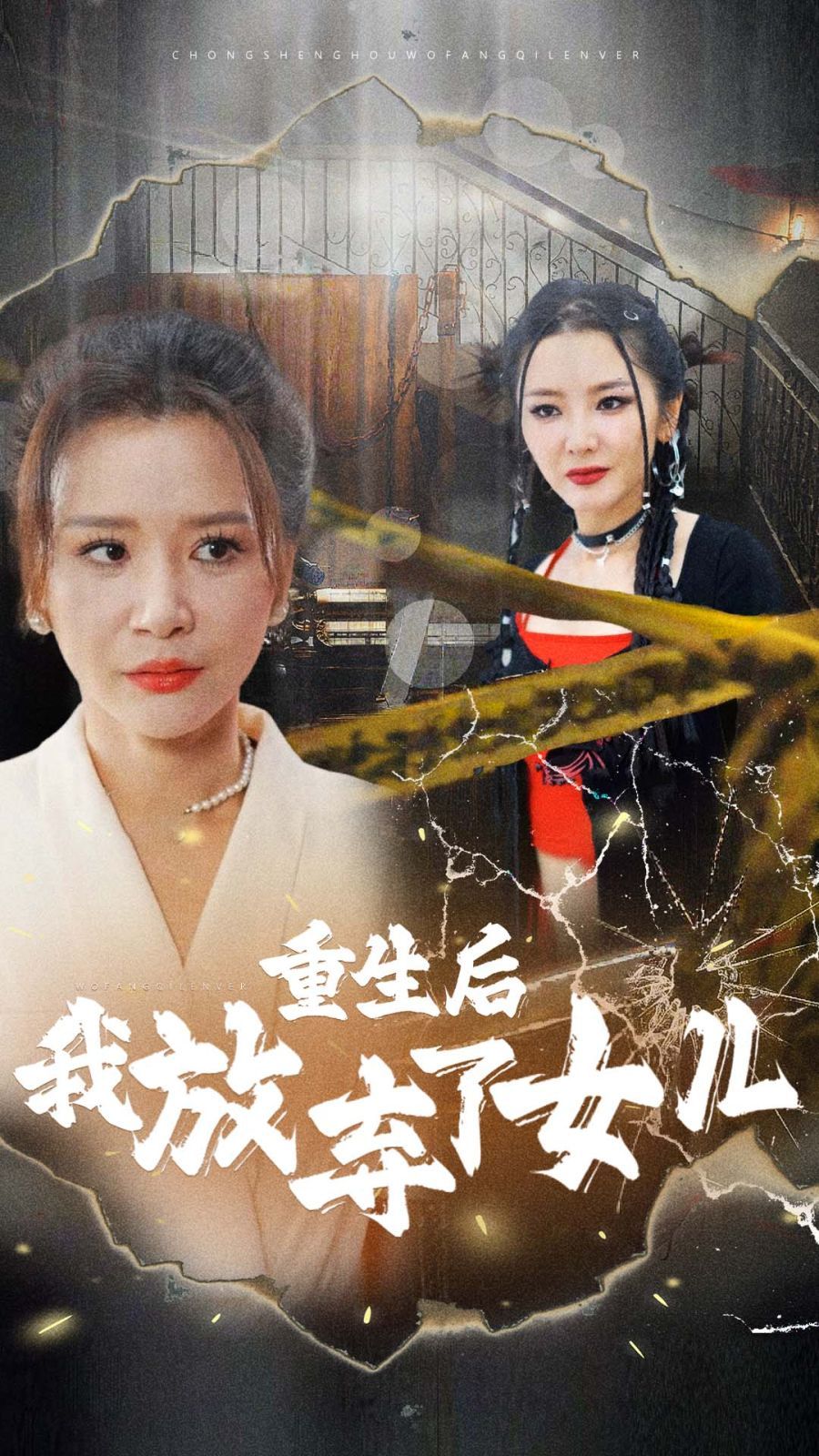 重生后我放弃了女儿 第21-40集