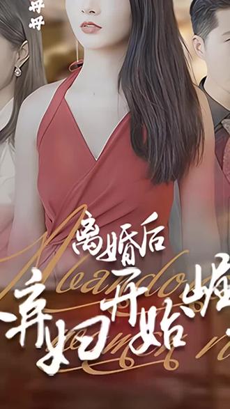 离婚后，从弃妇开始崛起 1-20集